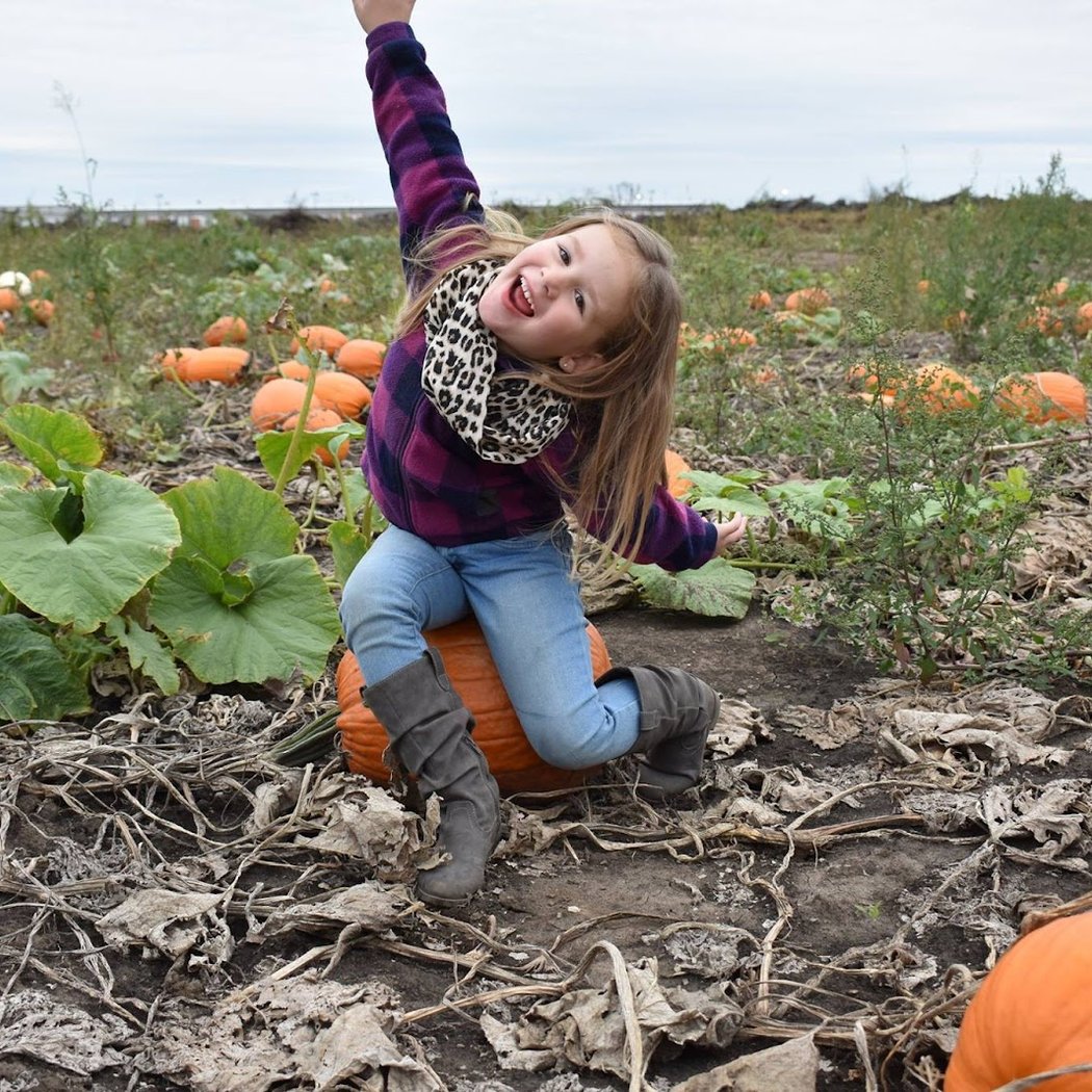 Pumpkin Fest 1